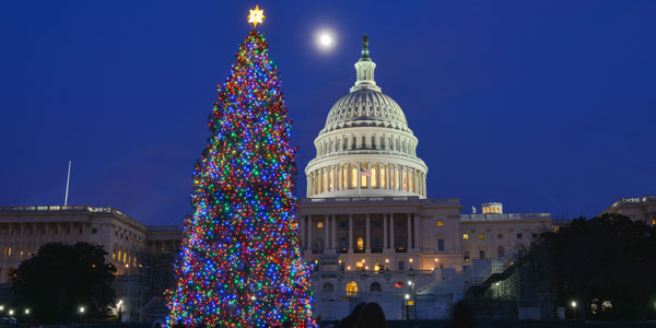 United States Capitol Building and Christmas tree at night